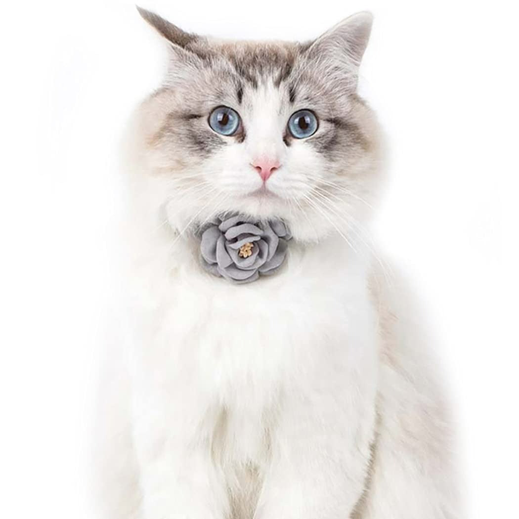 Floral Cat Collar with Charm | Cute & Adjustable Flower Cat Collar | Stylish Cat Accessory